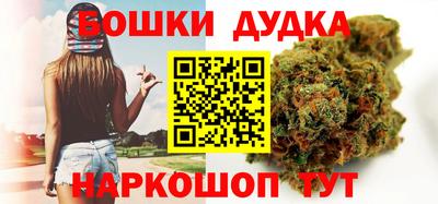 МДПВ Лесосибирск