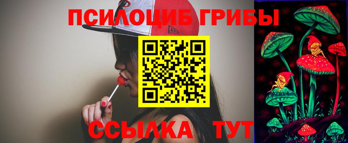 Феодосия  Галлюциногенные грибы Magic Shrooms  Вход с VPN  Псилоцибиновые грибы мицелий 